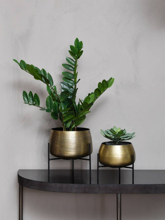 Clyde Tabletop Brass Set of 2 Planters on Black Stands