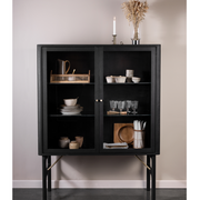 Kristensen ANT Cabinet