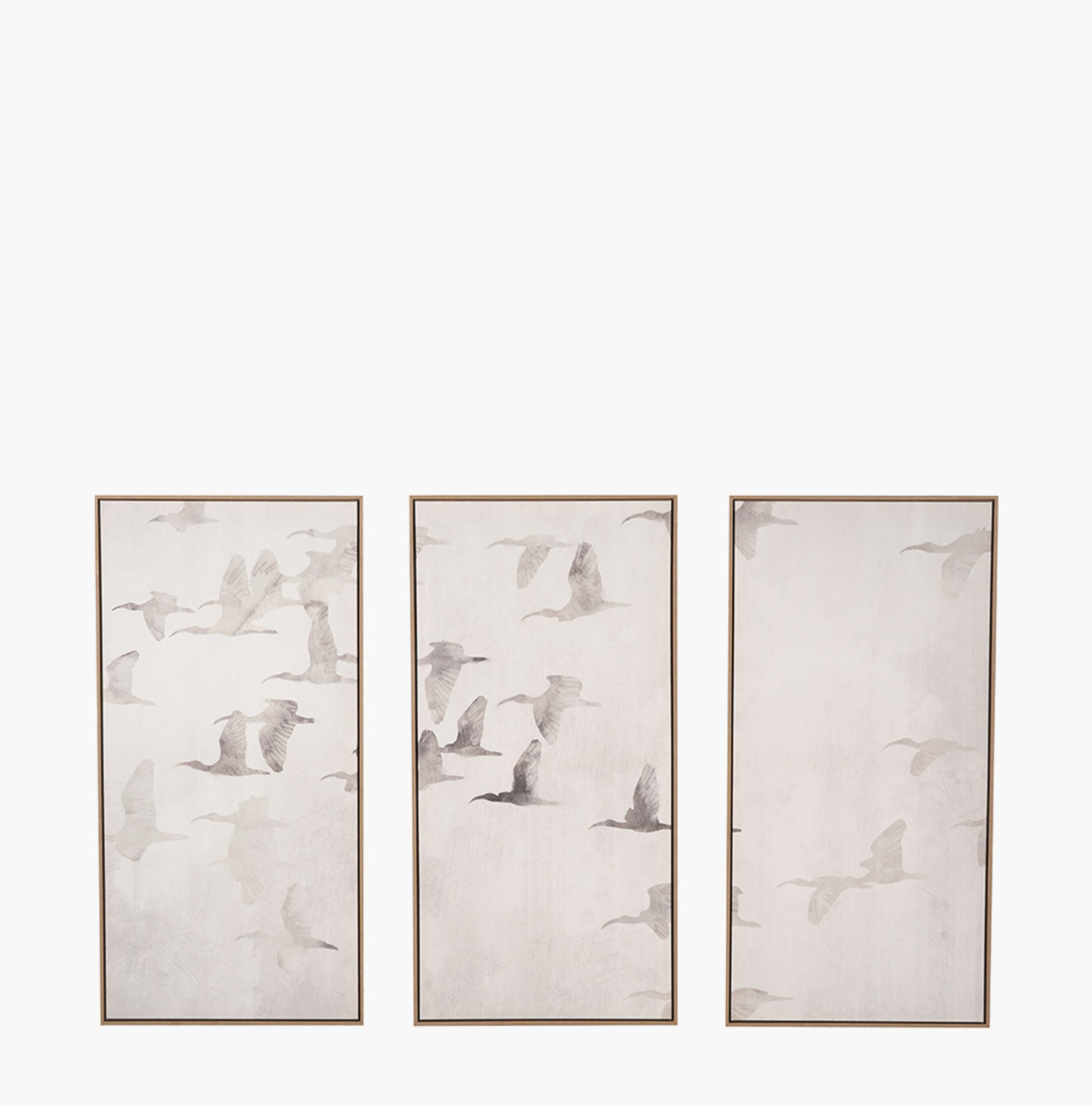 S/3 Natural and White Birds Canvases with Natural Frames