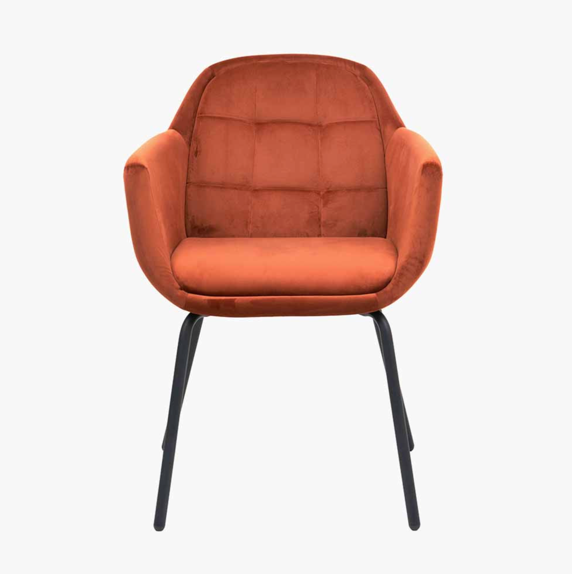 Alba Cinnamon Velvet and Black Metal Carver Dining Chair