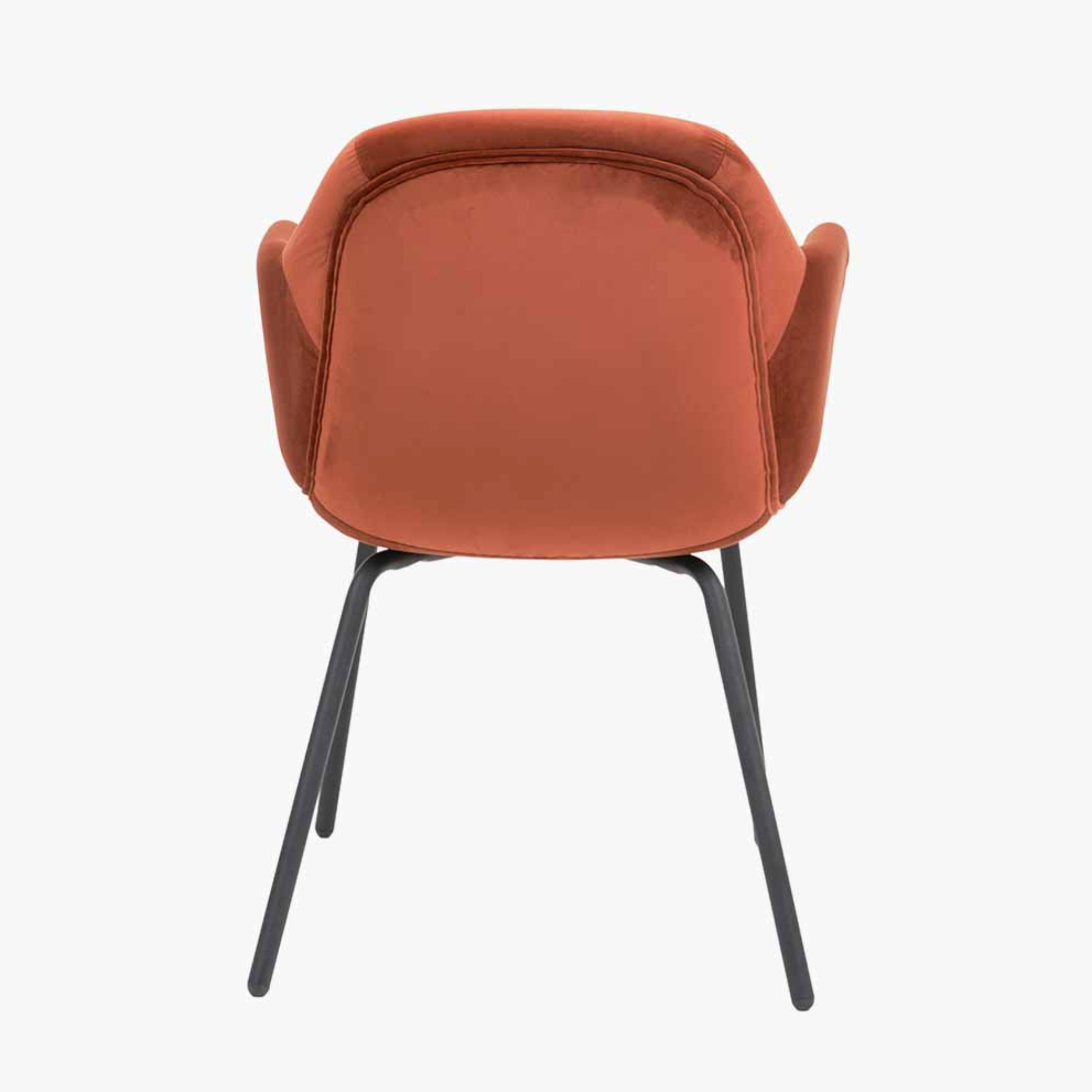 Alba Cinnamon Velvet and Black Metal Carver Dining Chair