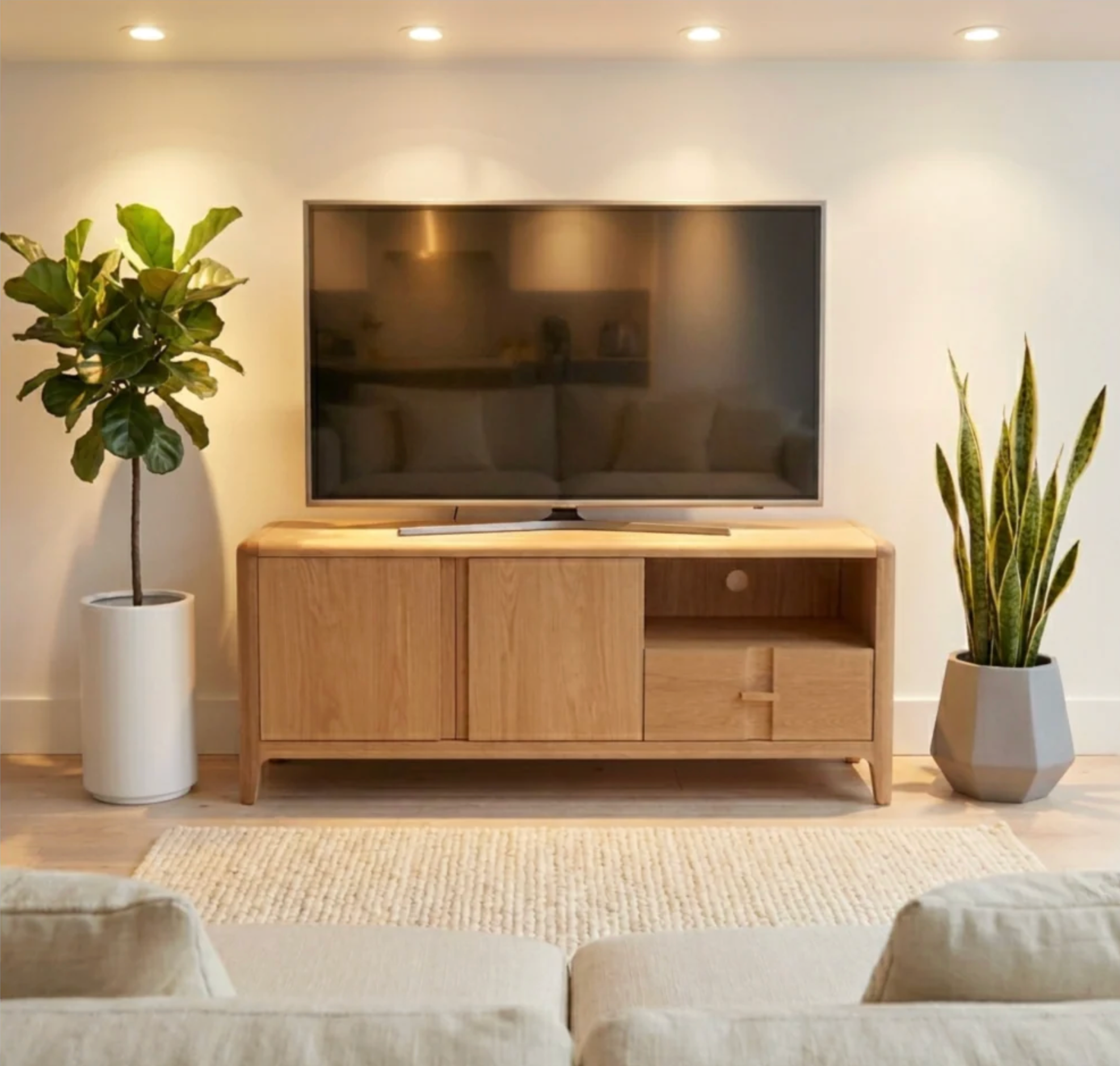 Tv and AV Units