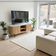 Reed Tv Unit